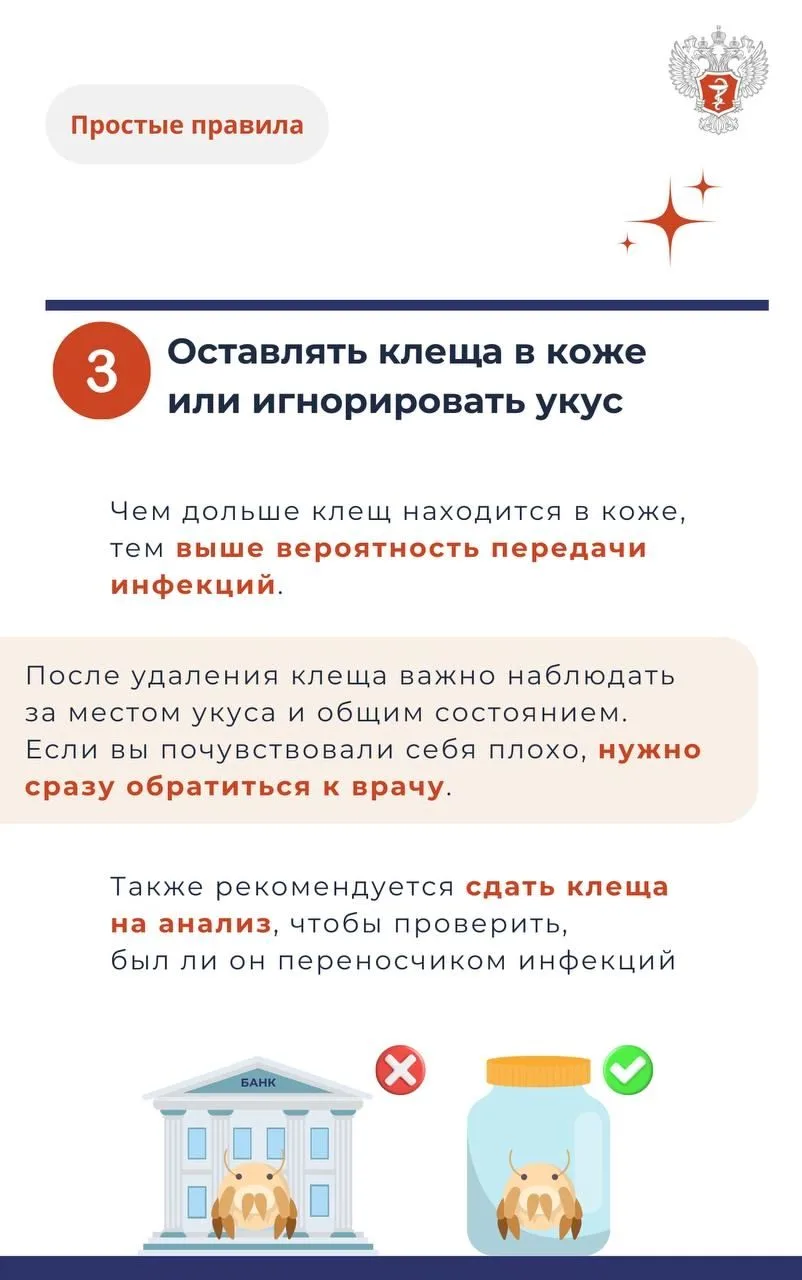 Клещ4.jpg