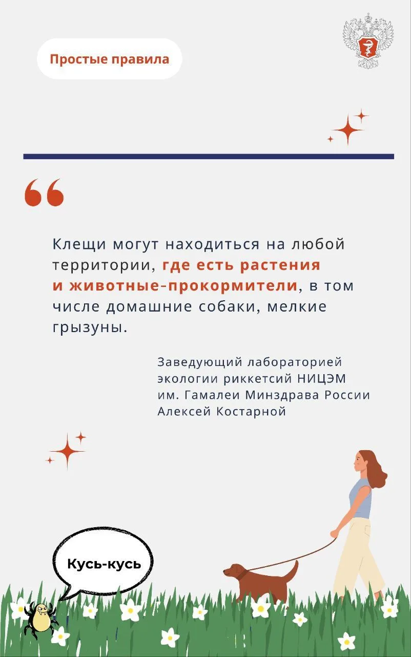 Как избежать укуса клеща 2.jpg