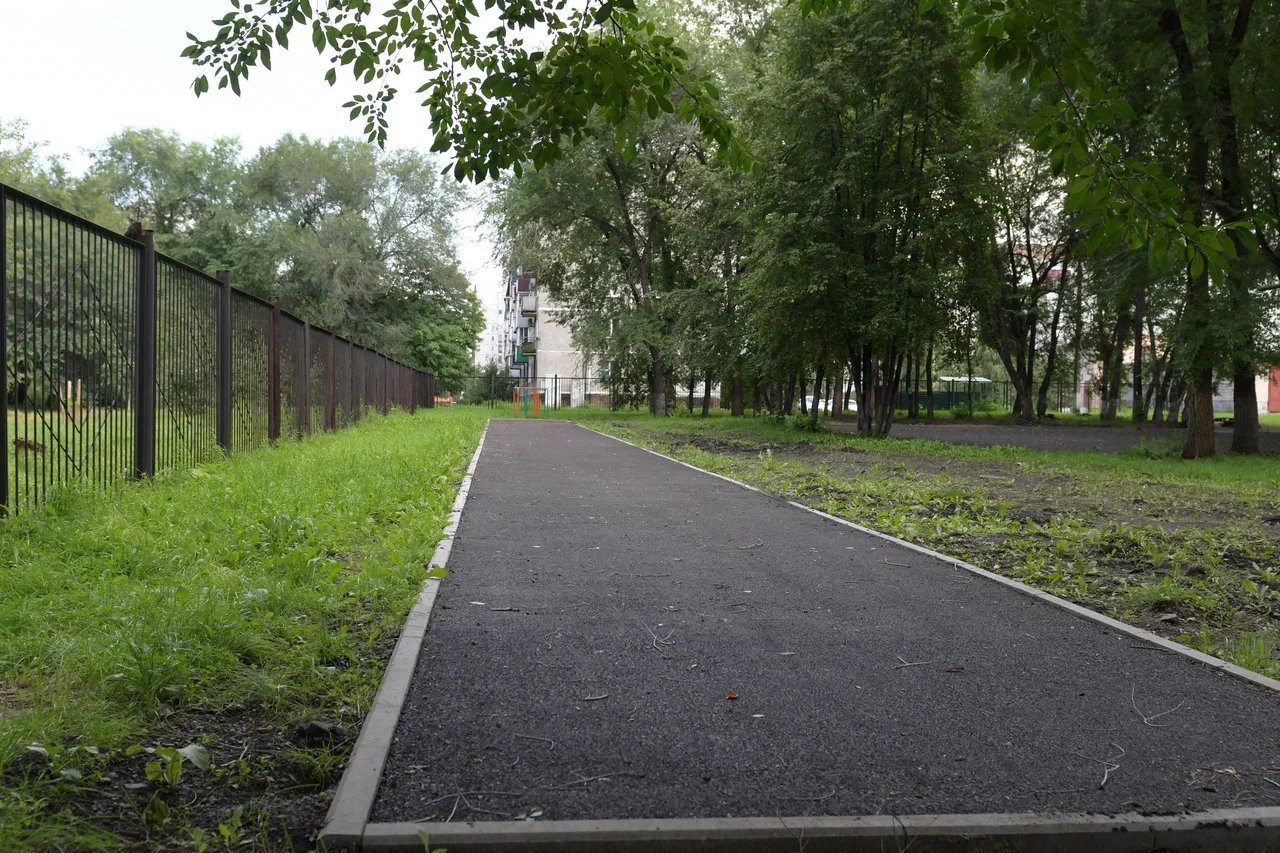 DSC_8684.jpg DSC_8684.jpg