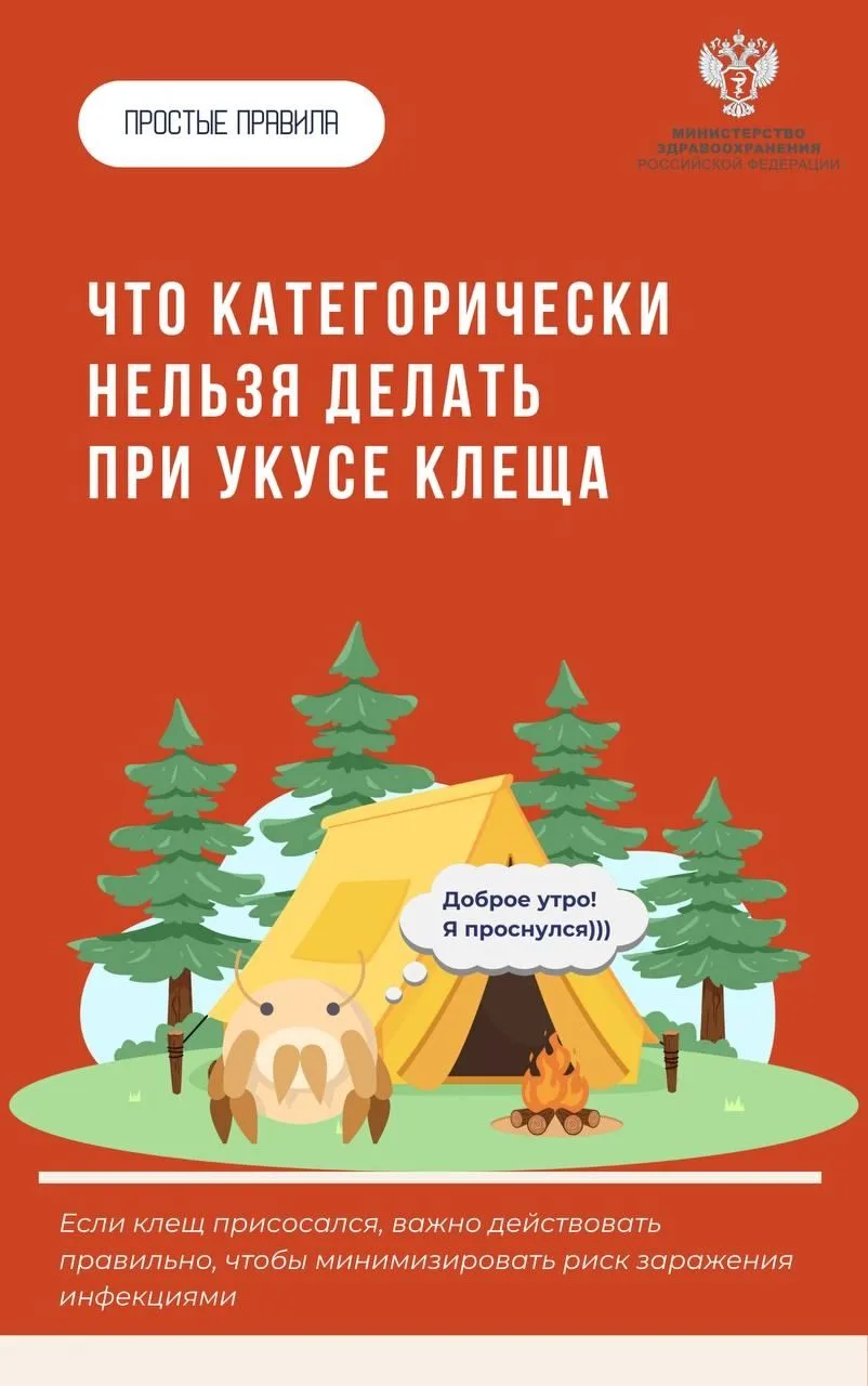 Клещ1.jpg