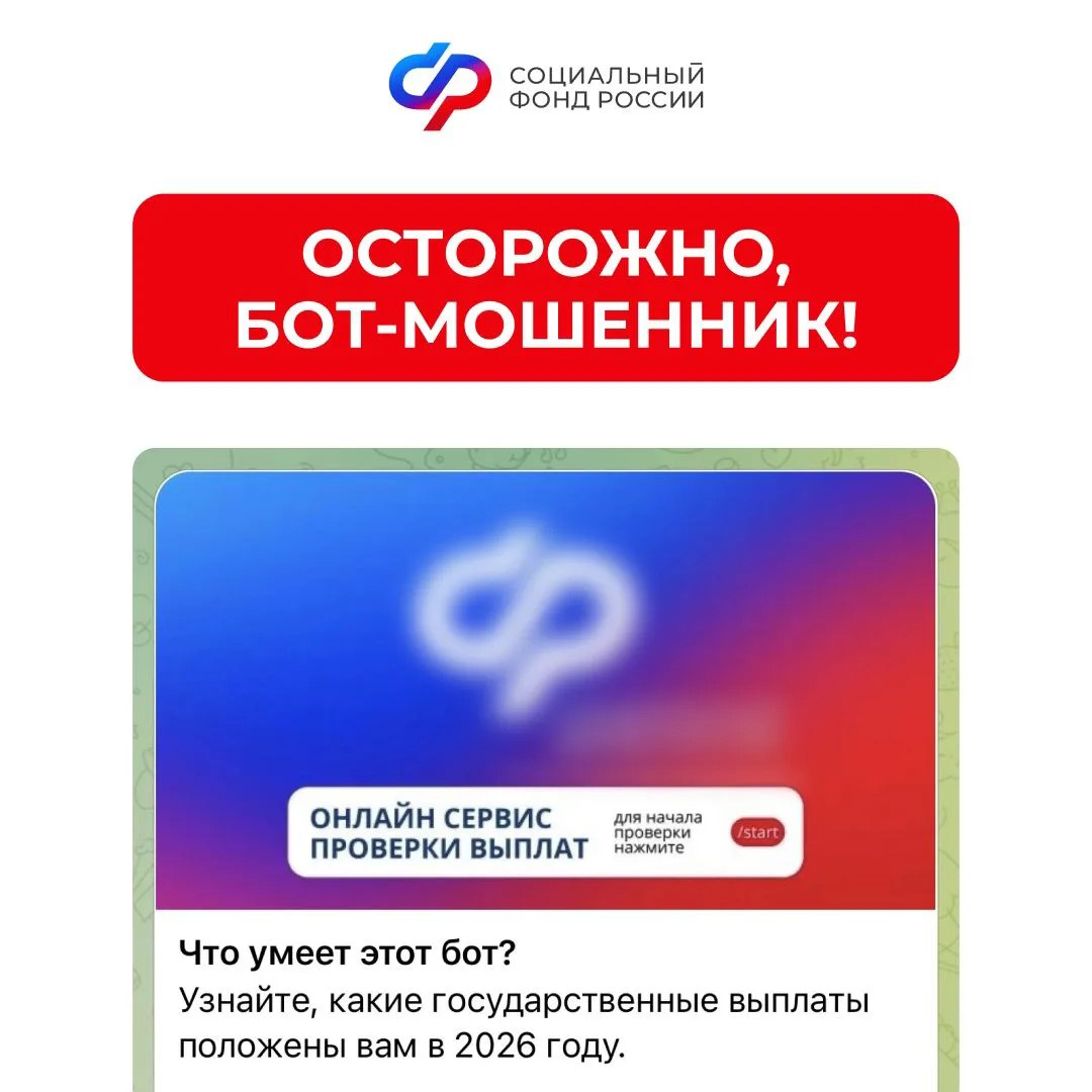 17.07_СФР предупреждает мошенники используют телеграм-бот.jpg
