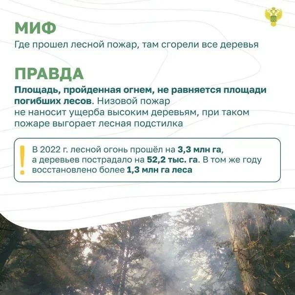 Останови огонь 2.png