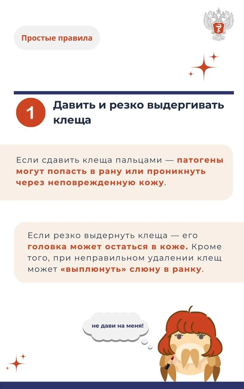 Клещ2.jpg