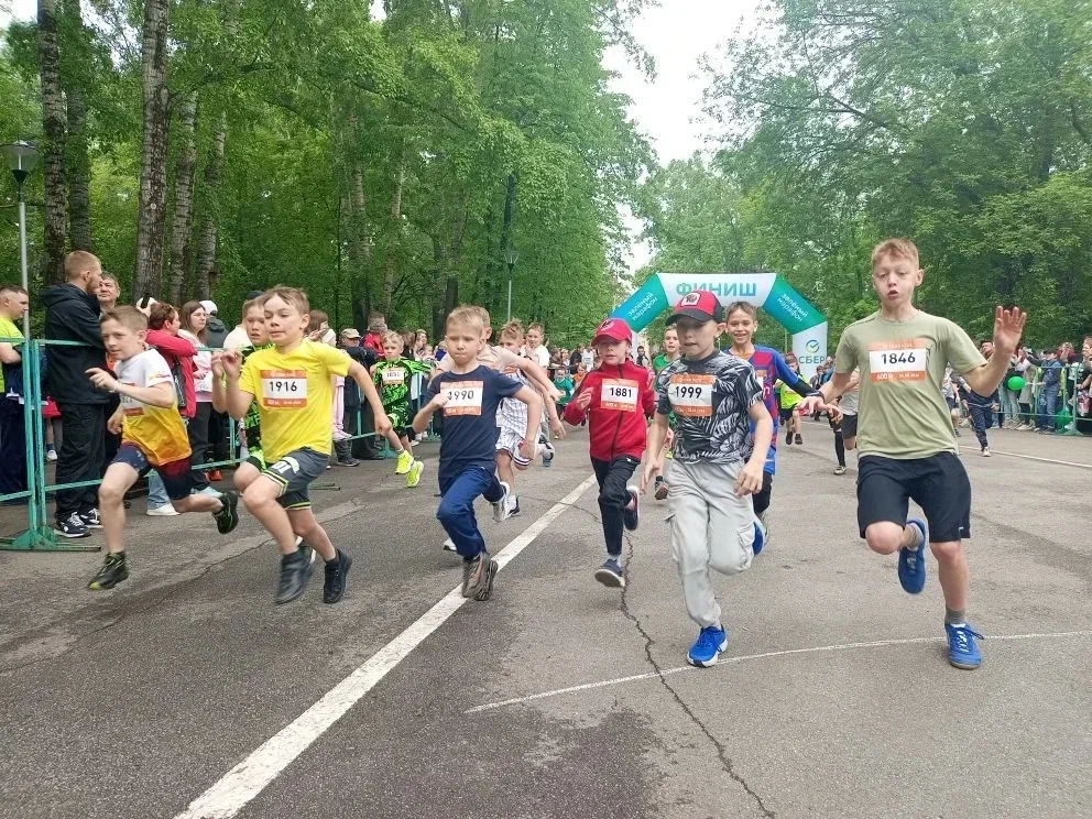 2851e00a-9222-4f31-978a-8d70bbee21e8.jpg 2851e00a-9222-4f31-978a-8d70bbee21e8.jpg