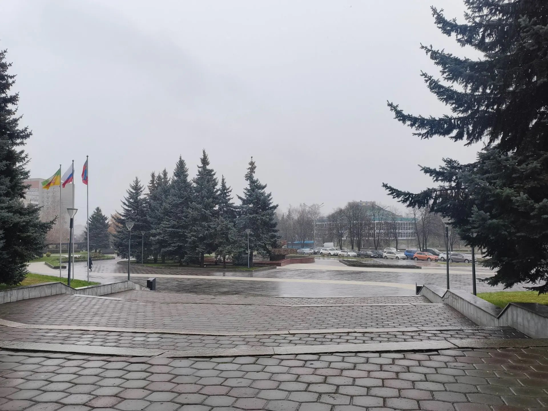 6652aea0-9b8d-40e6-bcad-9d536fa3e67f.jpeg
