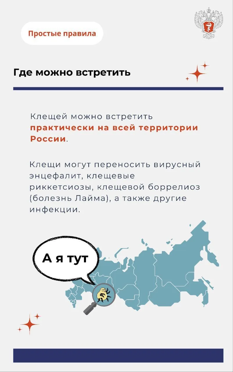 Как избежать укуса клеща 3.jpg