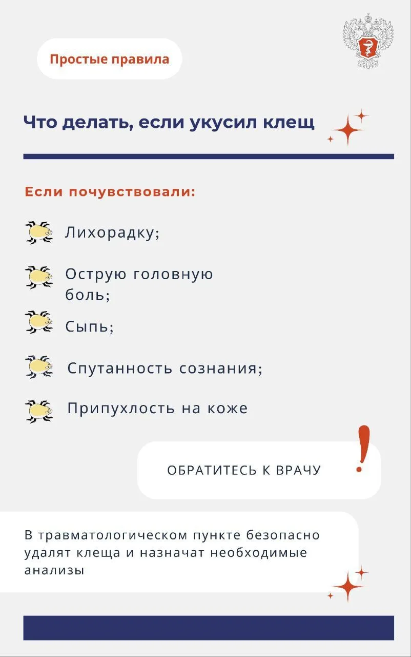 Как избежать укуса клеща 6.jpg
