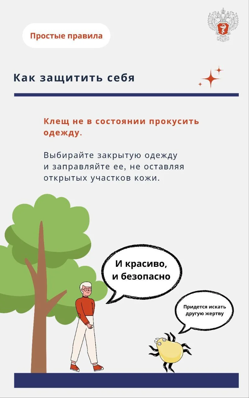 Как избежать укуса клеща 5.jpg