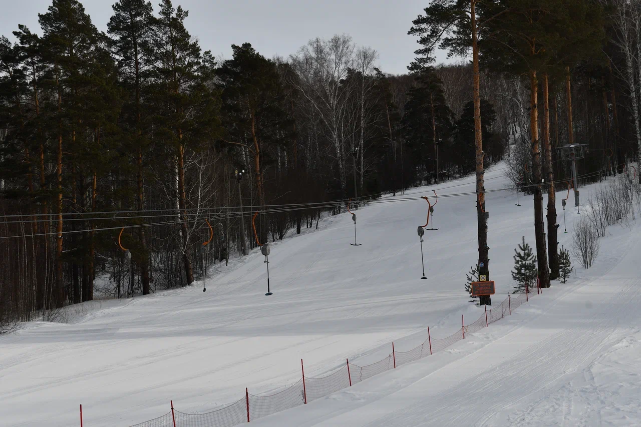 DSC_6656.JPG
