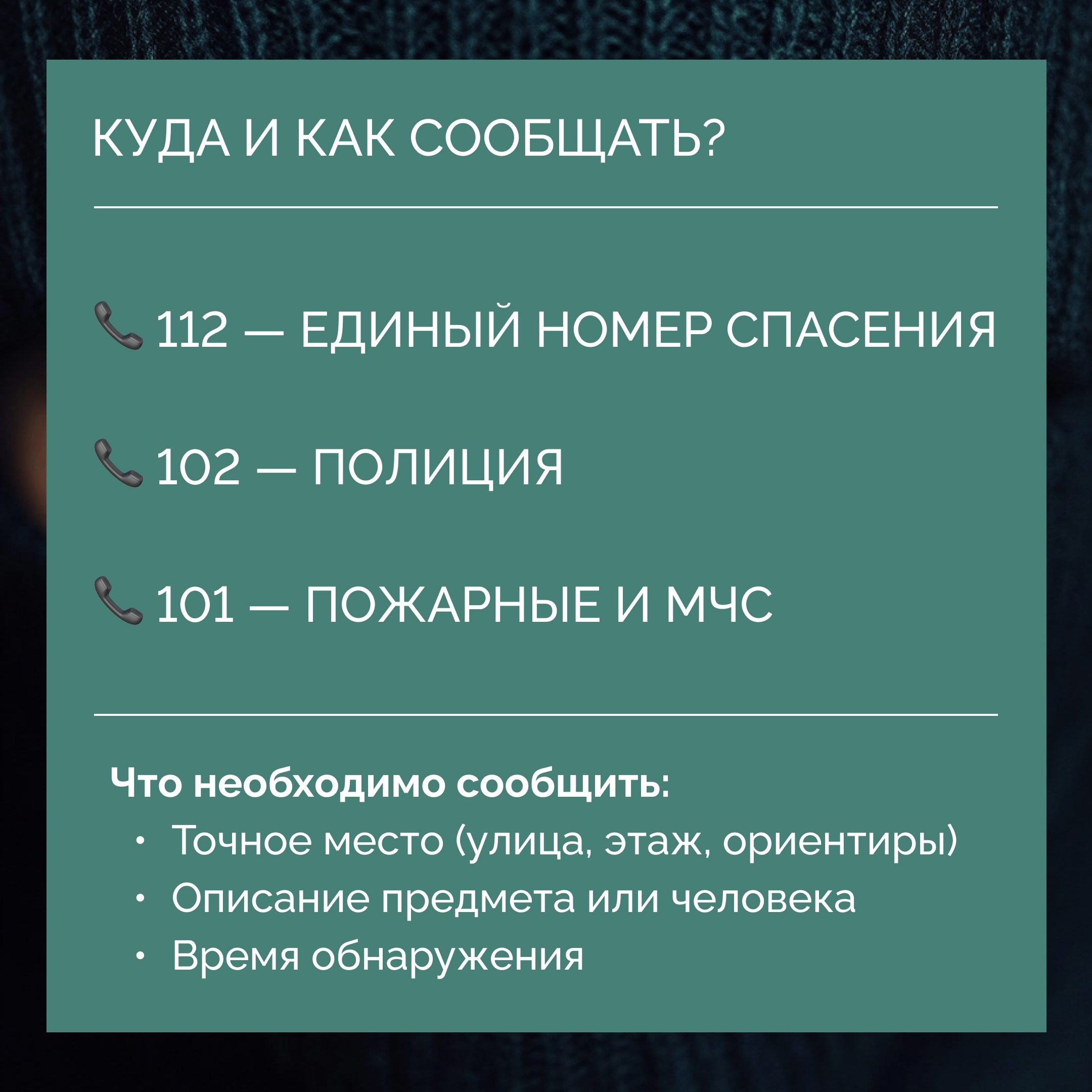 8.jpg 8.jpg