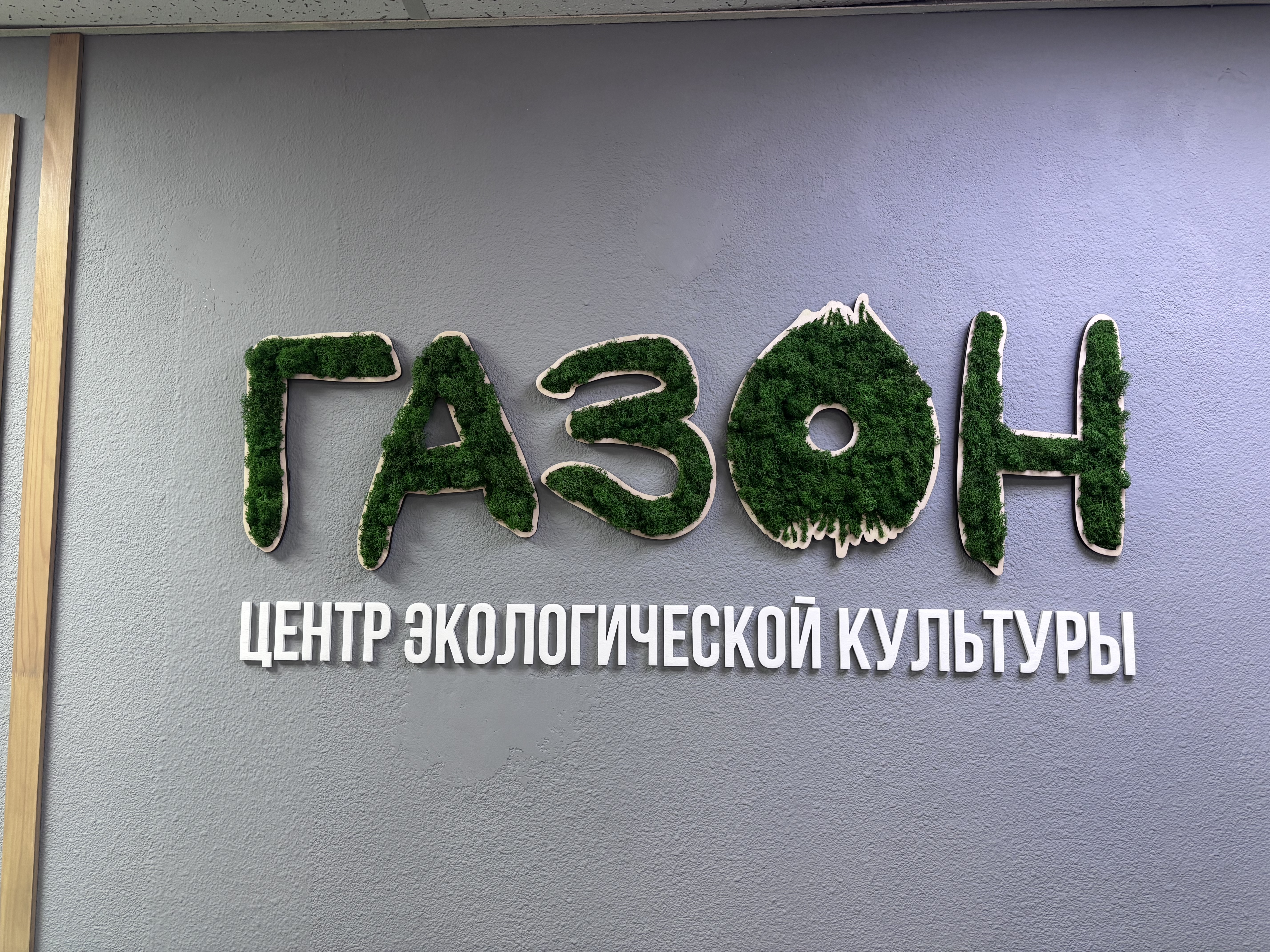 газон 7.jpeg