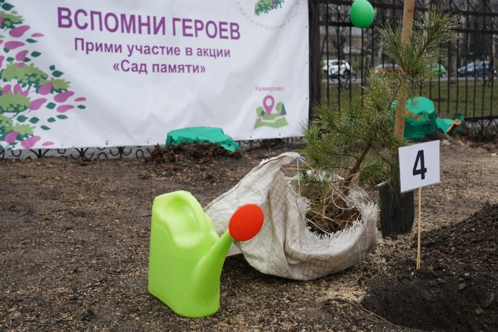 0305 день Победы (21)_Мини.jpg