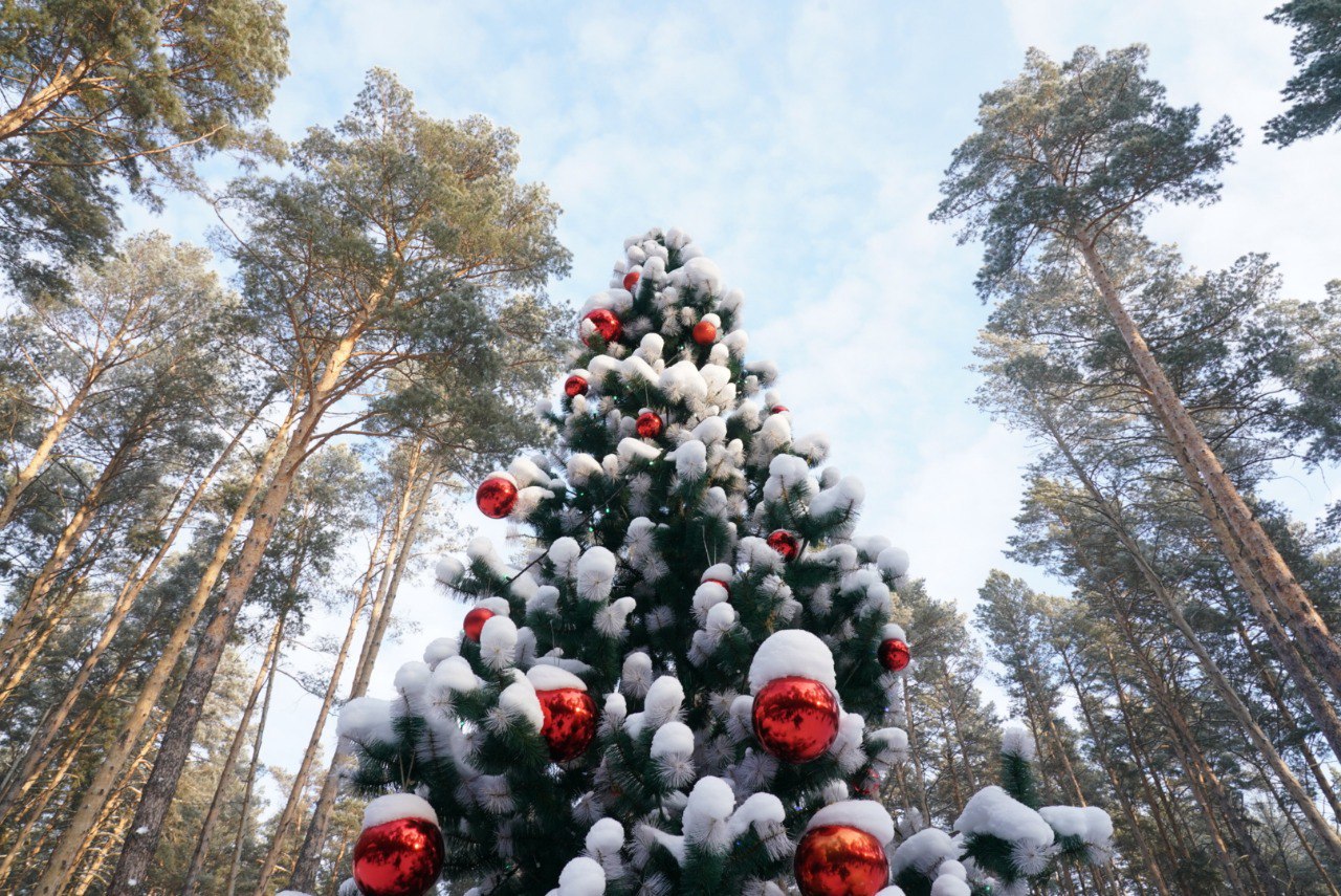 photo_5276166825932688416_y.jpg photo_5276166825932688416_y.jpg