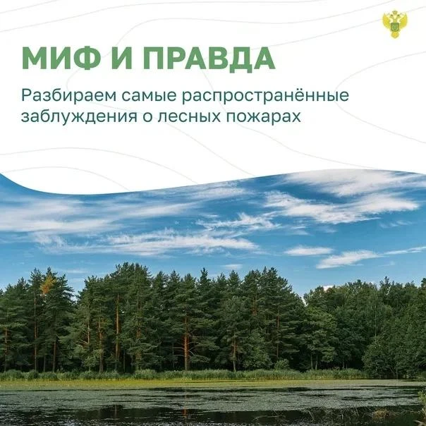 Останови огонь 1.png