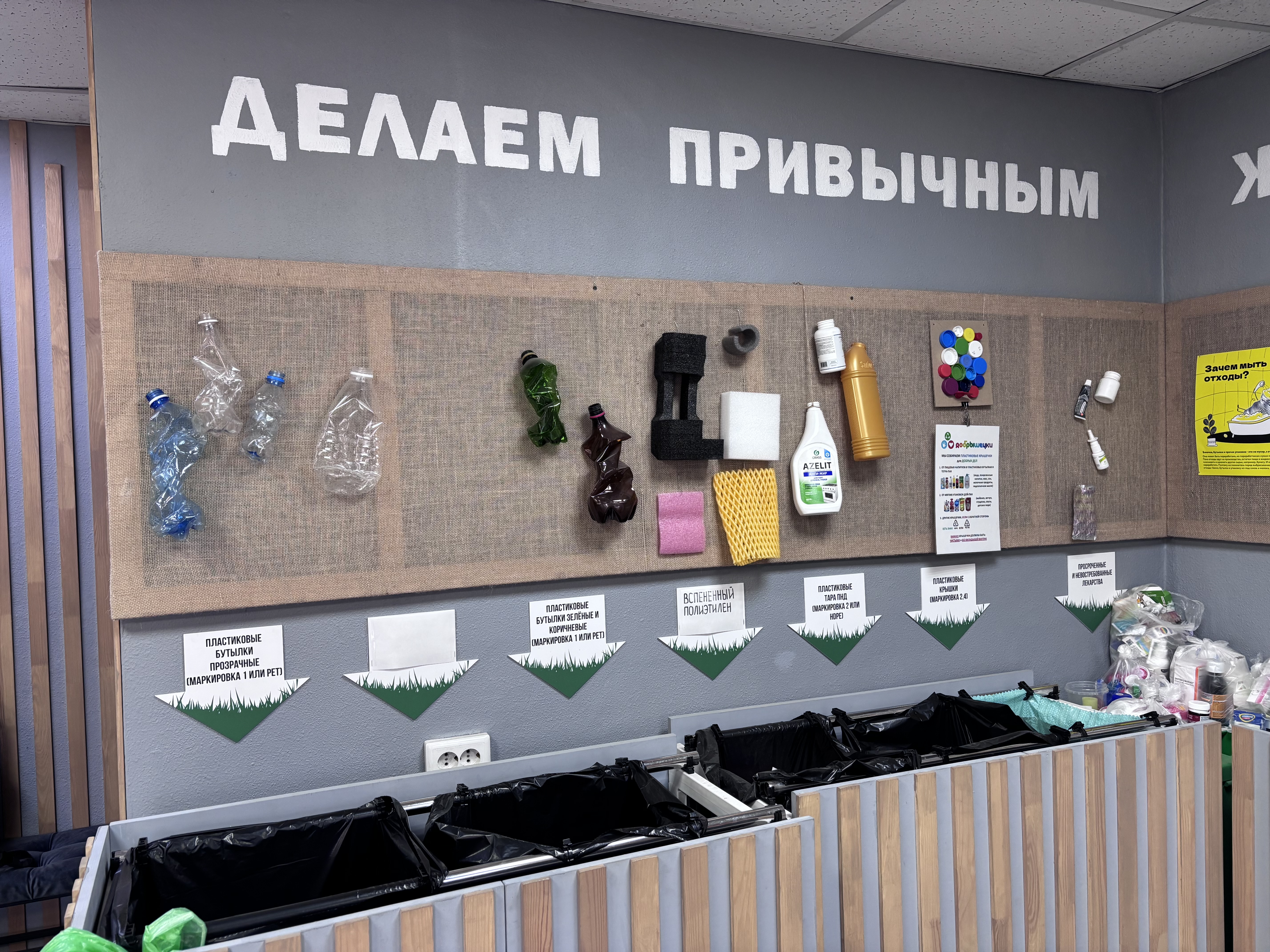 газон6.jpeg