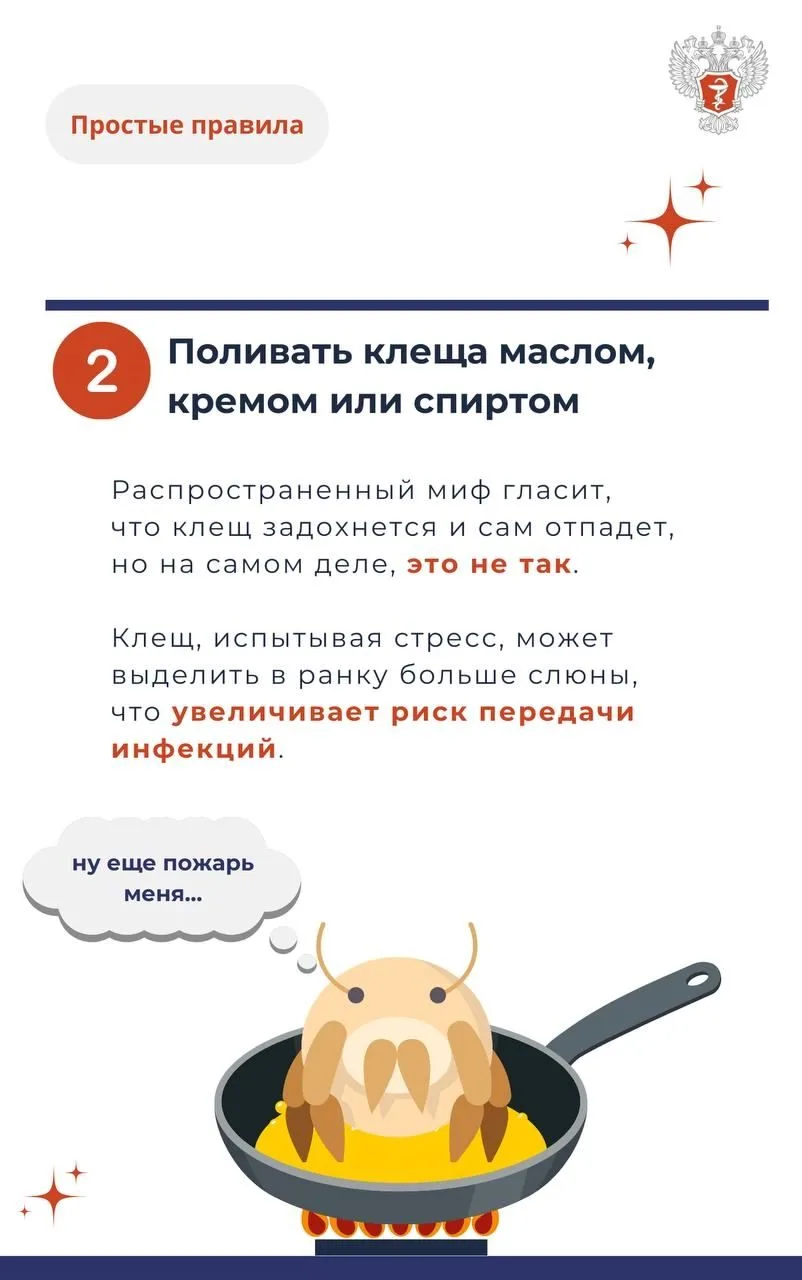 Клещ3.jpg