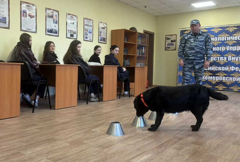 Novokuzneckie_policeyskie_poznakomili_studentov_s_rabotoy_policeyskih-kinologov_-800x600.jpg
