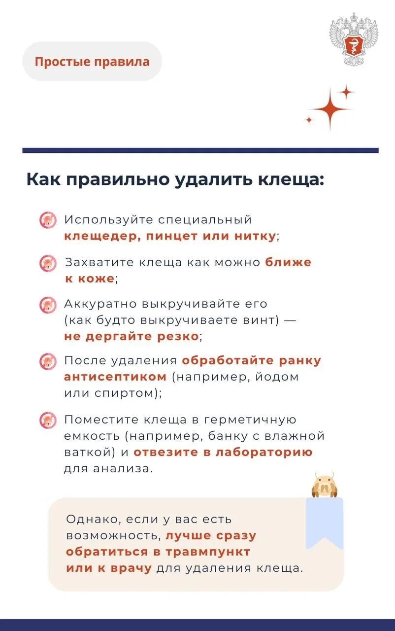 Клещ5.jpg